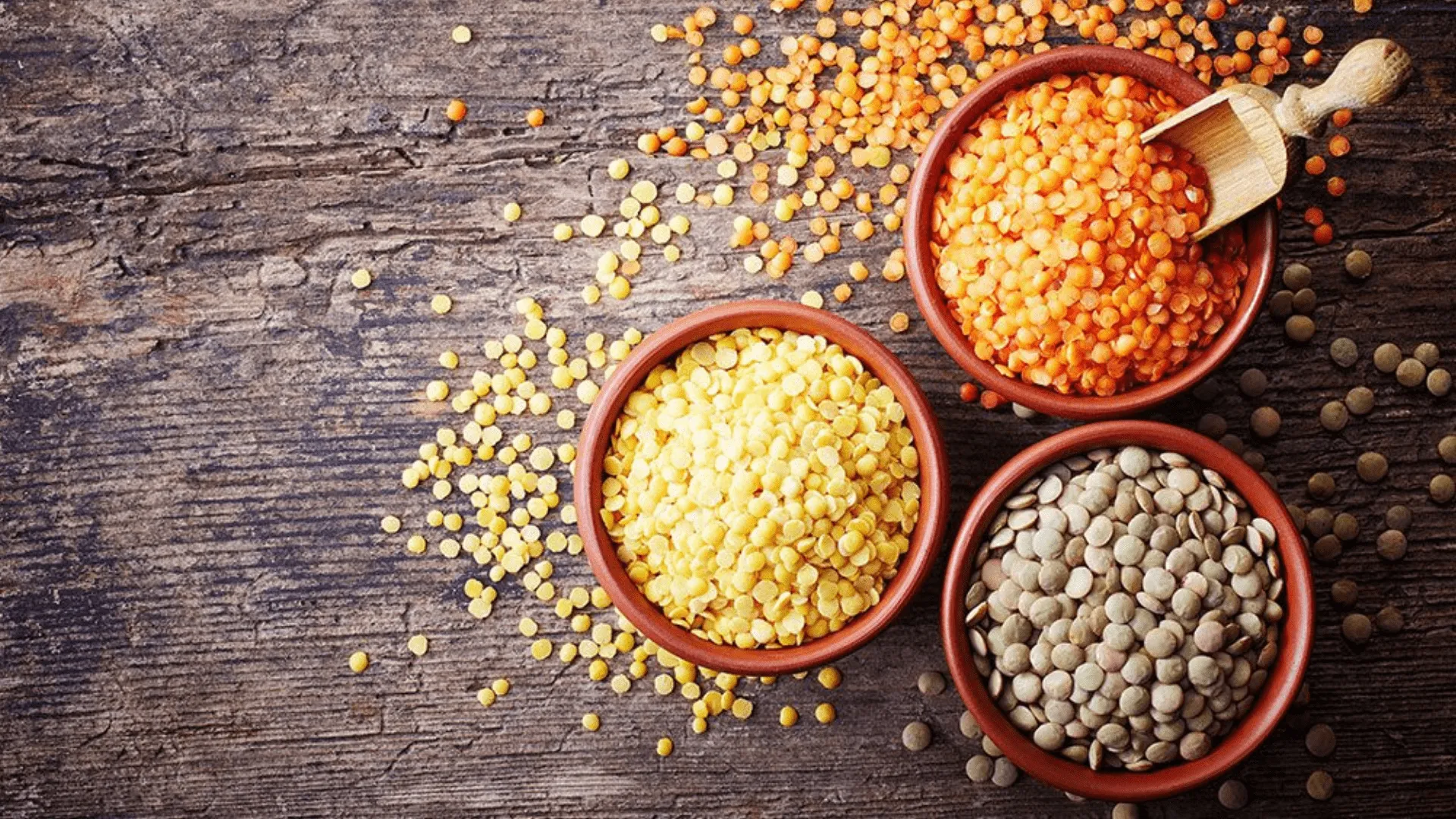 Indian lentils and pulses arranged for quality review