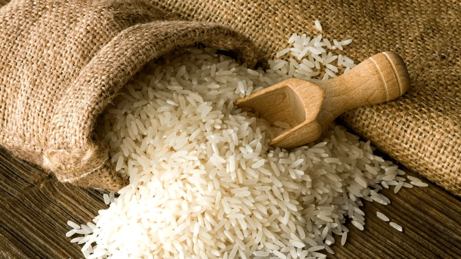 Export-ready Basmati and non-Basmati rice