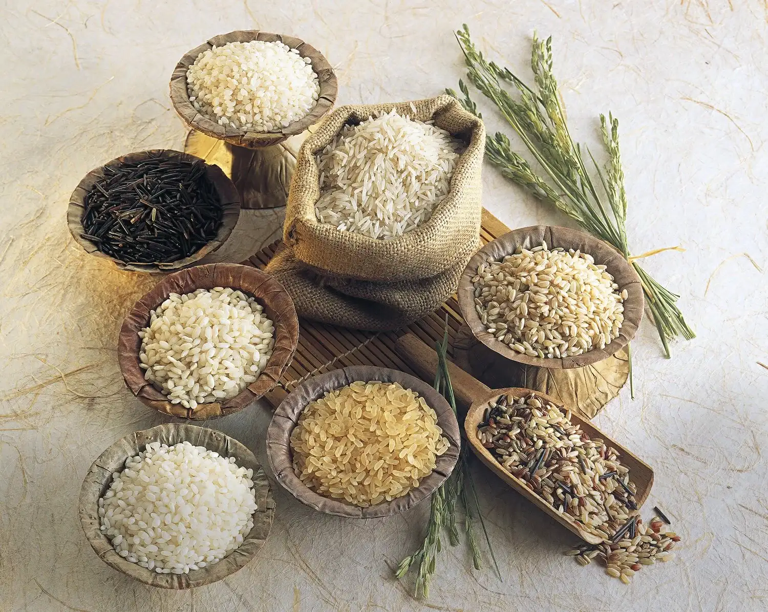 JFT Agro Export Operations