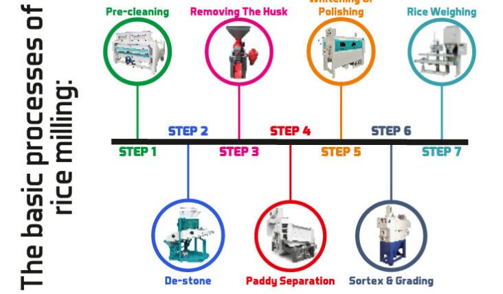 The basic processes of rice milling 732x473 1