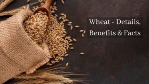 Wheat Details Benefits Facts