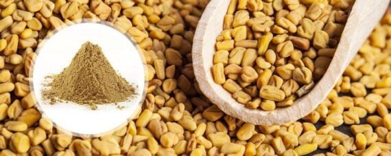 Fenugreek Seeds big 771x308 1