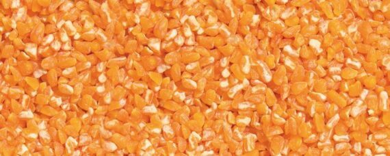 Maize Grits big 771x309 1