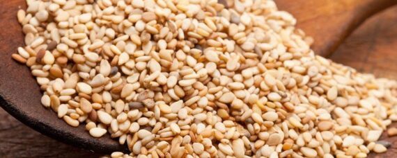 Sesame Seeds big 771x309 1