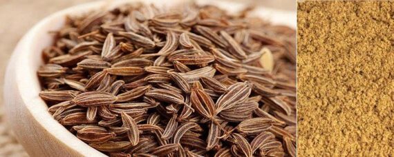 cumin seeds big 771x308 1