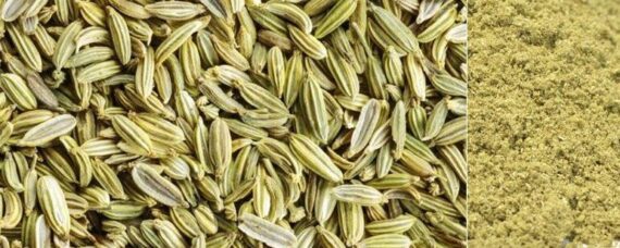 fennel seeds big 771x308 1