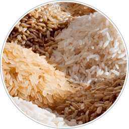 forms of rice