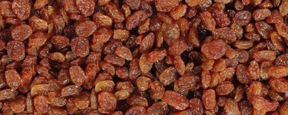 raisins big 771x309 1