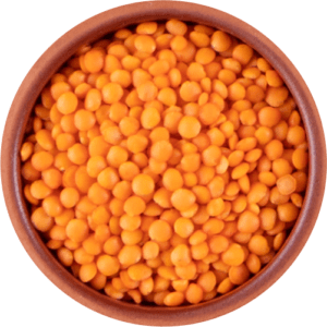 Pulses beans 300x300 1