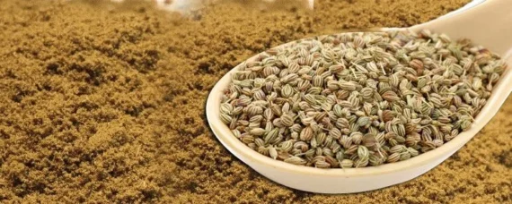 AJWAIN SEEDS AND POWDER