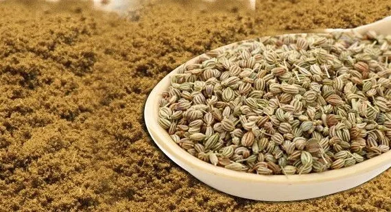 AJWAIN SEEDS AND POWDER