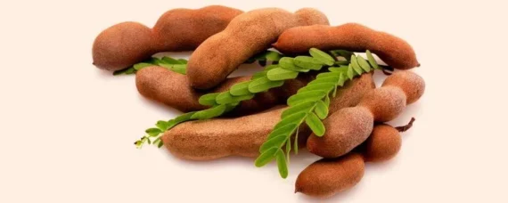 Indian Tamarind with Seeds And Without Seeds