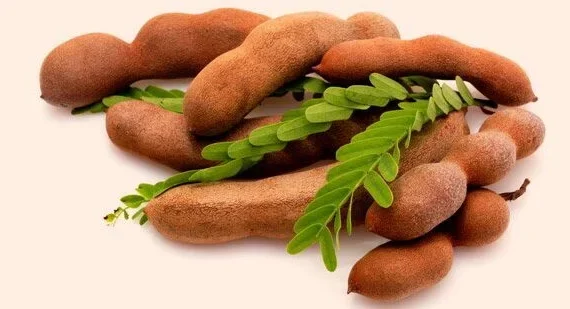 Indian Tamarind with Seeds And Without Seeds