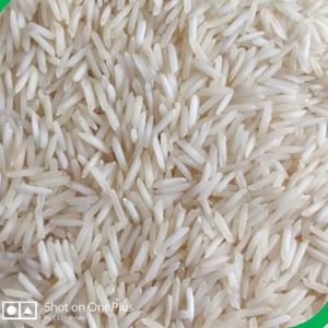 1121 Raw Rice Basmati Rice